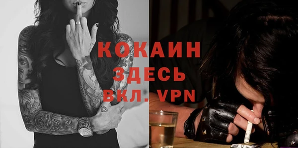 винт Касимов