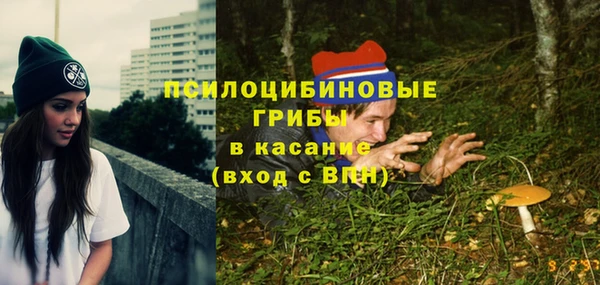 винт Касимов