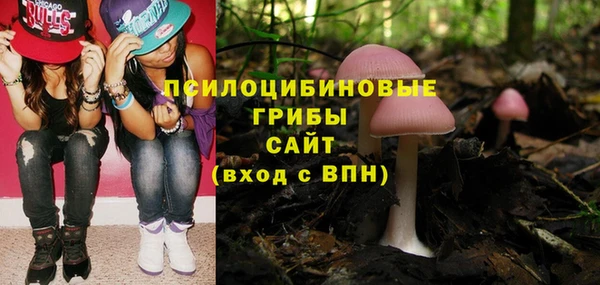 ECSTASY Карпинск