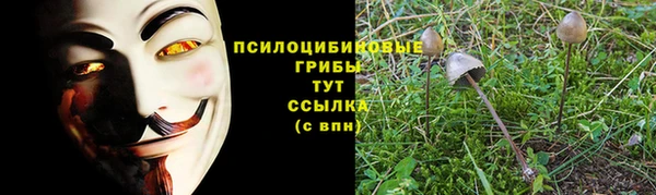 винт Касимов
