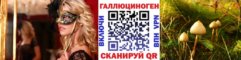 Галлюциногенные грибы MAGIC MUSHROOMS  Купить где  Белокуриха 